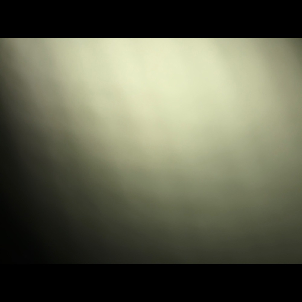 Meet your Posher, Francisca